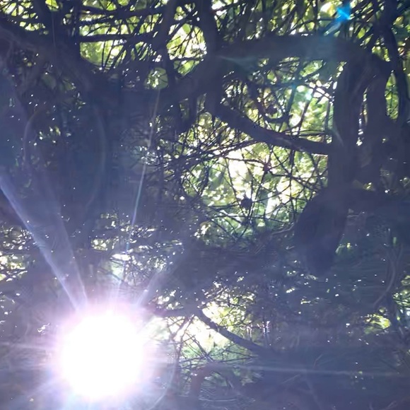 Meet your Posher, Beth - Picture 4 of 7